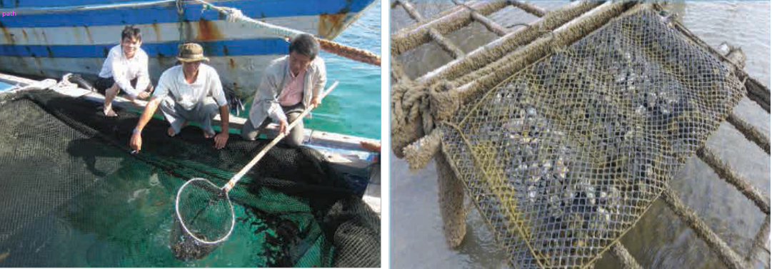 Biaial geotextile nets for aquaculture
