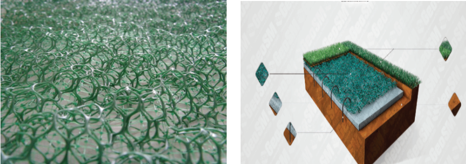 Ứng dụng của lưới trông cỏ, Hạt giống Ứng dụng của lưới trông cỏ, Hạt giống